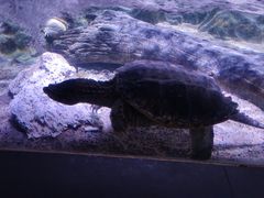 -常州海昌海洋探索馆