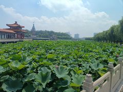 -南戴河国际娱乐中心