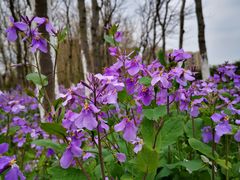 -白塘生态植物园