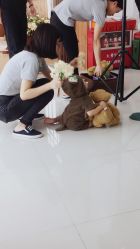 -玛瑞莎·儿童·亲子摄影(越秀店)