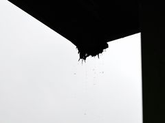 -尚贤河湿地