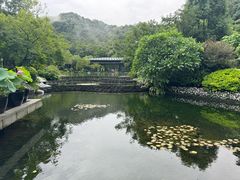 -云溪植物园