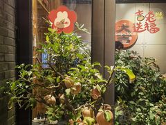 -四喜小胖·北京涮肉(五道营店)
