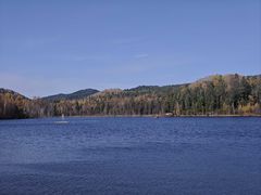 -五营红松林海景区