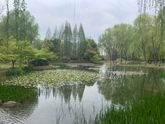 -洛阳市隋唐城遗址植物园