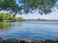 -长春市南湖公园