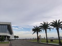 -野狸岛