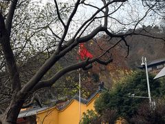 -敬亭山风景名胜区