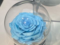 -ROSEONLY诺誓(广州K11店)