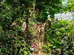 -郑州植物园