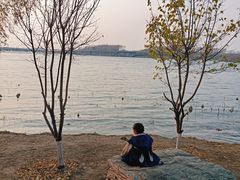 -丁香湖公园