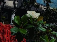 -东钱湖旅游度假区