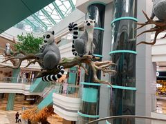 -大族广场Mall&More