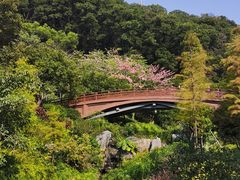 -云溪植物园