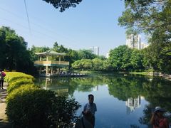-晓港公园