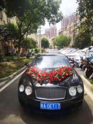 -蚂蚁婚车