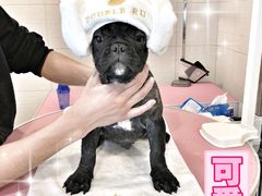 -Double Rui宠物酒店
