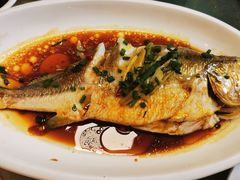 清蒸大黄鱼-老张桥新天地羊肉店