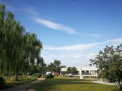 -莫子山公园