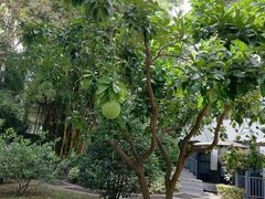 -厦门悦华酒店