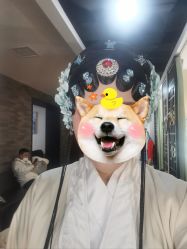 -盘子女人坊古装写真摄影(天津总店)