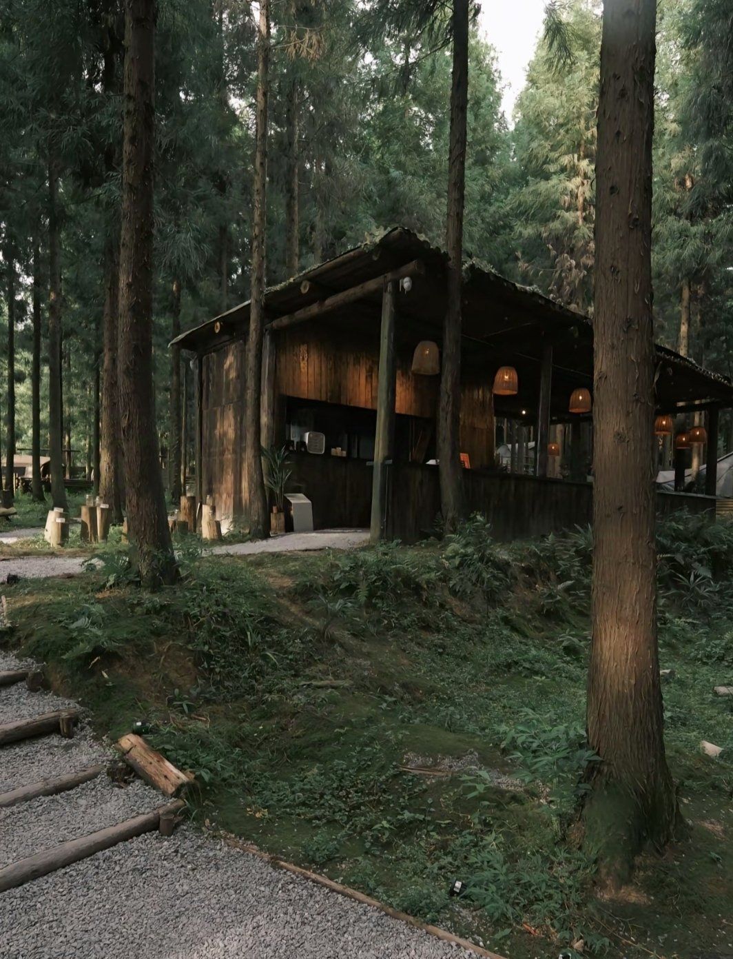 森林木屋的悠闲