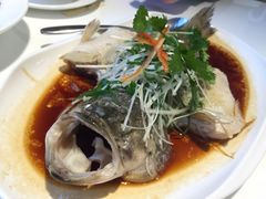 -至潮餐厅精致粤菜·活鲈鱼·走地鸡(珠江新城店)