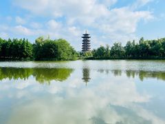 -洋湖国家湿地公园