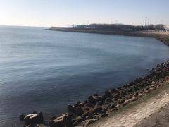 -王记西鎮电烤肉(汶上路店)