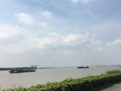 -海鸥岛