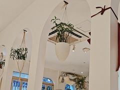 -春树下·树屋花房西餐厅(罍街AS1980店)