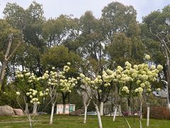 -天鹅湖体育公园