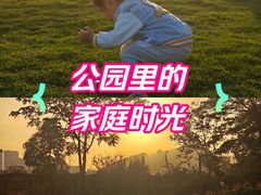 -光明小镇欢乐田园