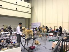 -郑州国际会展中心