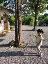 -DORA kids 朵拉儿童摄影花园店