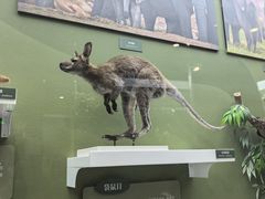 -国家自然博物馆