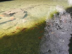 -雁荡山三折瀑景区