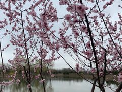 -东郊湿地公园