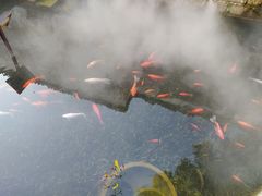 -黎阳老街