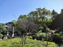 -晓港公园