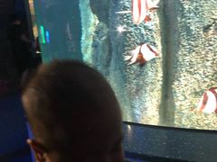 -福州罗源湾海洋世界旅游区