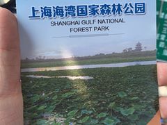 -上海海湾国家森林公园