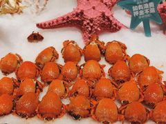 -芭菲盛宴·环球美食(锦城万达广场店)