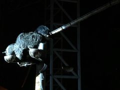 -清迈夜间动物园