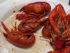 -星伦多自助料理·涮烤一体(嘉兴八佰伴店)