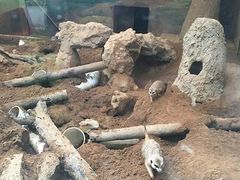 -昆明动物园