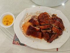 深井烧鹅-姚林轩