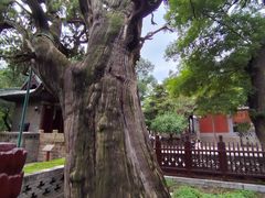 -晋祠公园