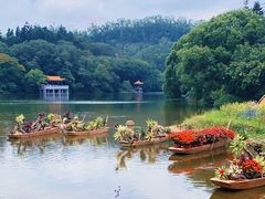 -深圳仙湖植物园
