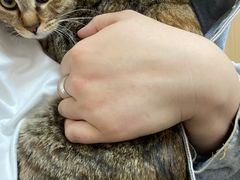 -瑞派康怡24h宠物医院·犬猫医疗中心·微创绝育(瑞景分院)